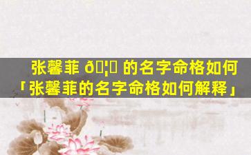 张馨菲 🦈 的名字命格如何「张馨菲的名字命格如何解释」